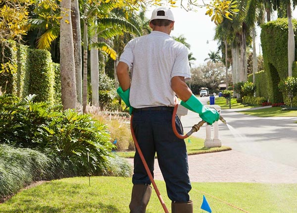 About Alvord IA Pest Control